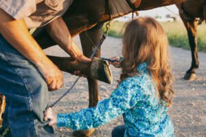 Familjehemsvård och hästar